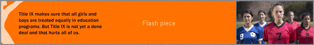 flash placeholder